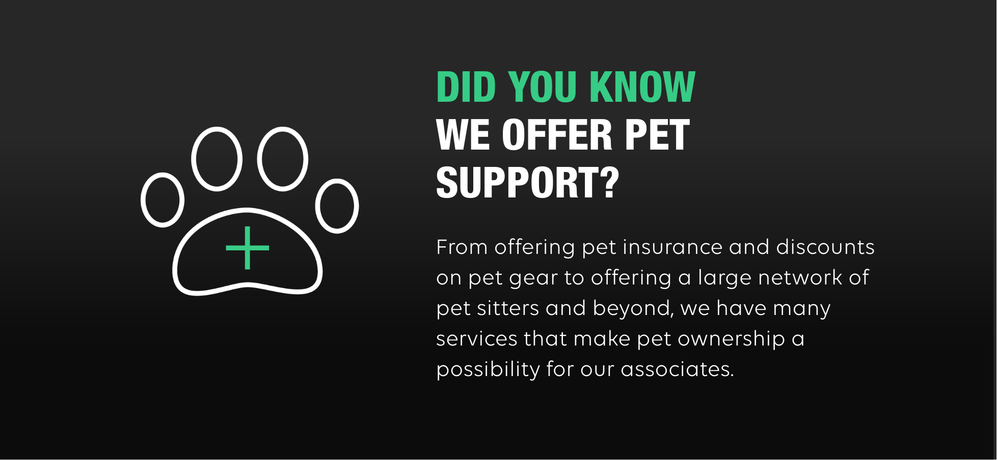 A black background features a stylistic rendering of a dog paw with a plus sign inside. On the right, the text reads: Did you know we offer pet support? from offering pet insurance and discounts on pet gear to offering a large network of pet sitters and beyond, we have many services that make pet ownership a possibility for our associates.